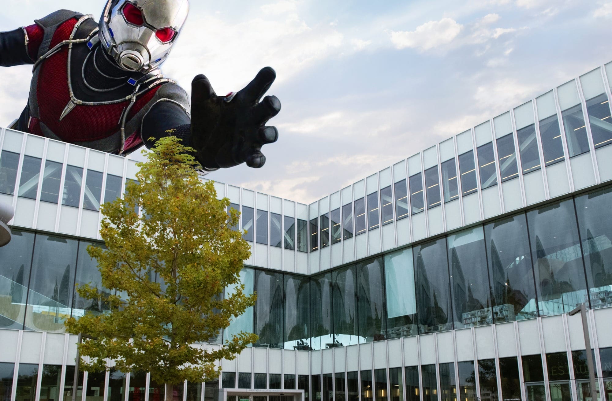 Ant-Man à Caen (Caen) — création art digital par Sylmi